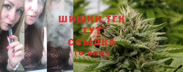 прущий лед Армянск