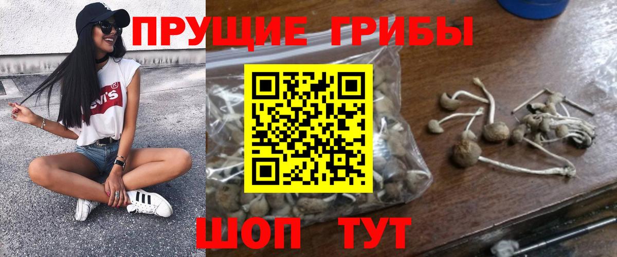 Галлюциногенные грибы GOLDEN TEACHER Кубинка